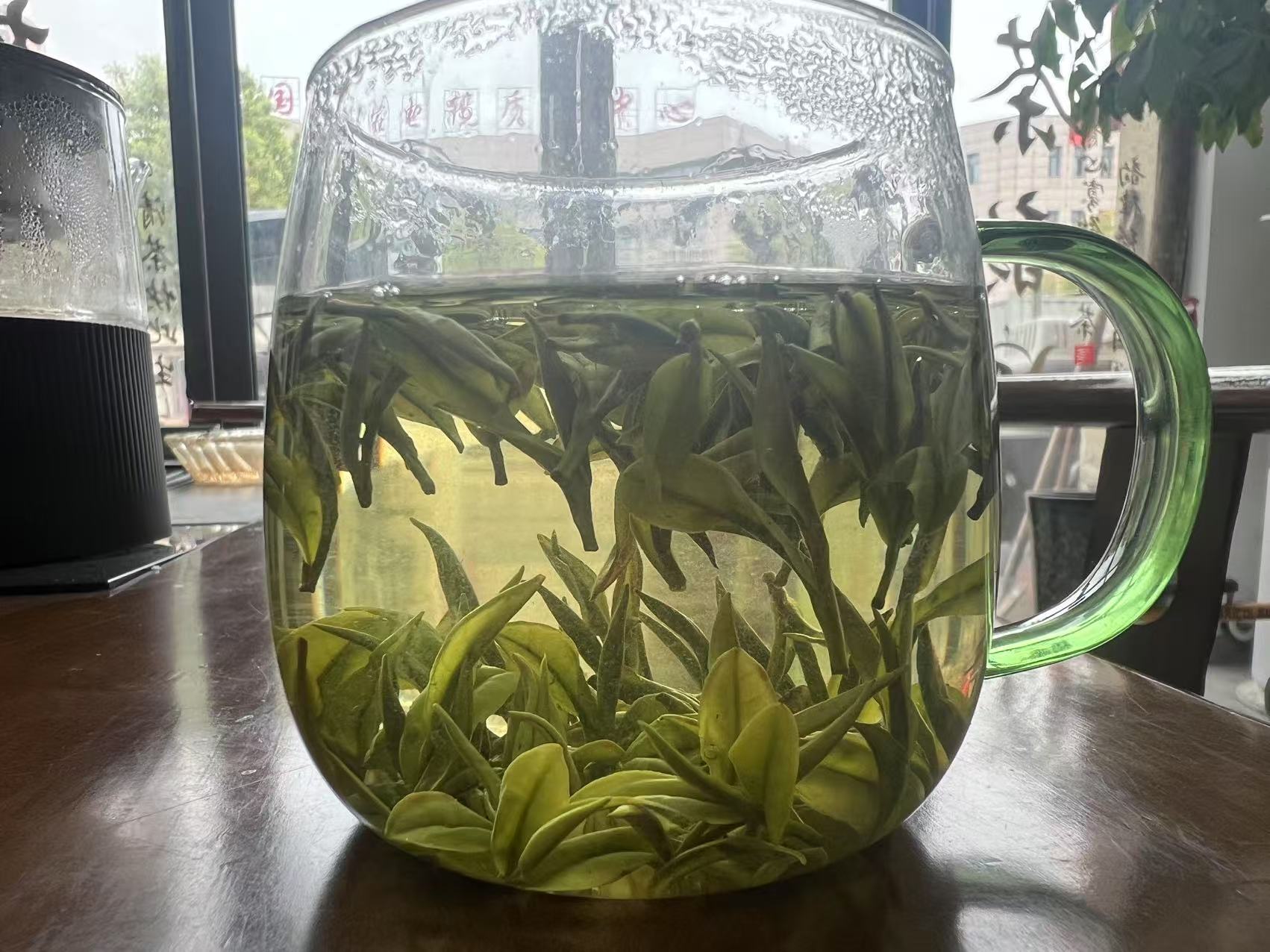 2025新茶明前珍品白茶叶绿茶自己喝浓香白茶一芽两叶顺丰包邮