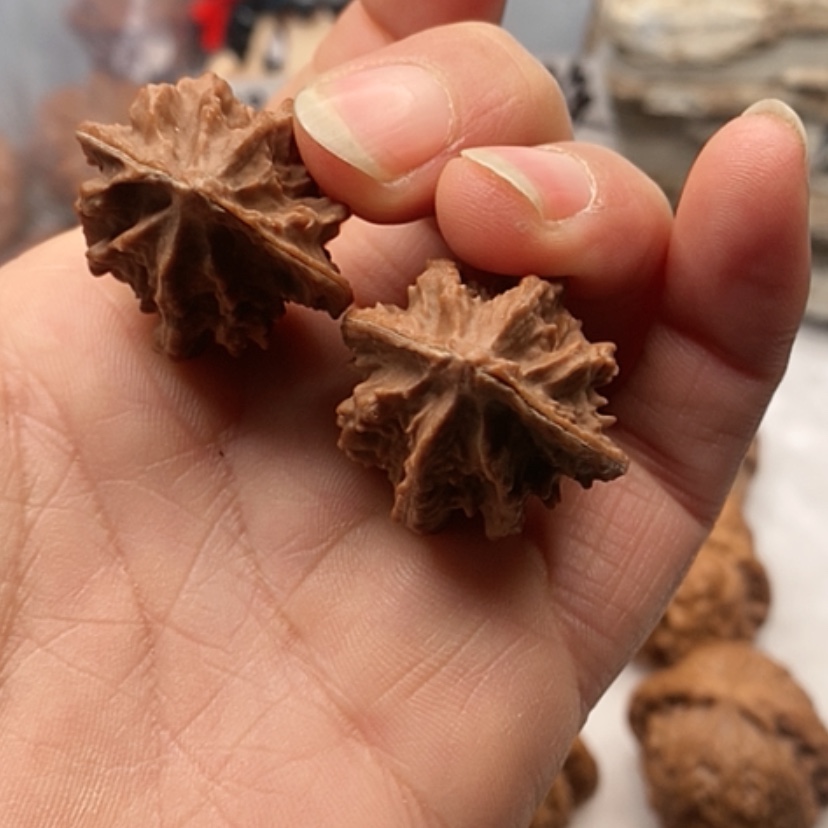 【闪购商品】吊坠文玩核桃野生山地果