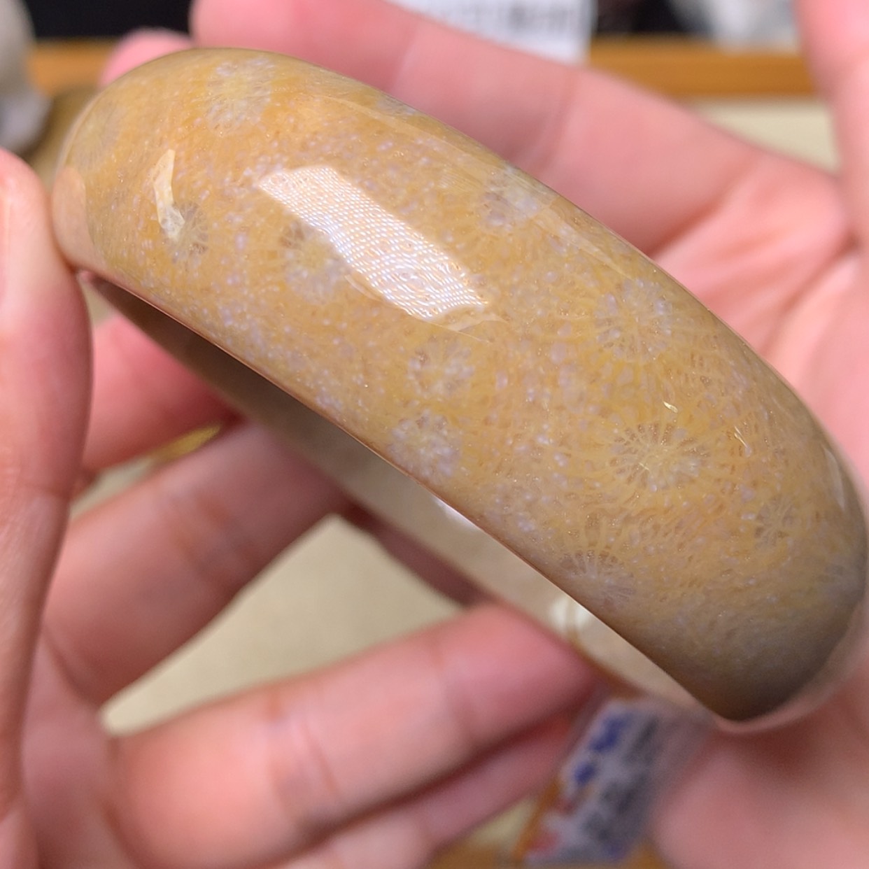 【闪购商品】硅化珊瑚（珊瑚玉）手镯未镶嵌圈口58.5