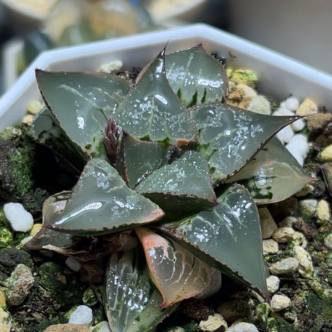 恭喜发财大吉大利884