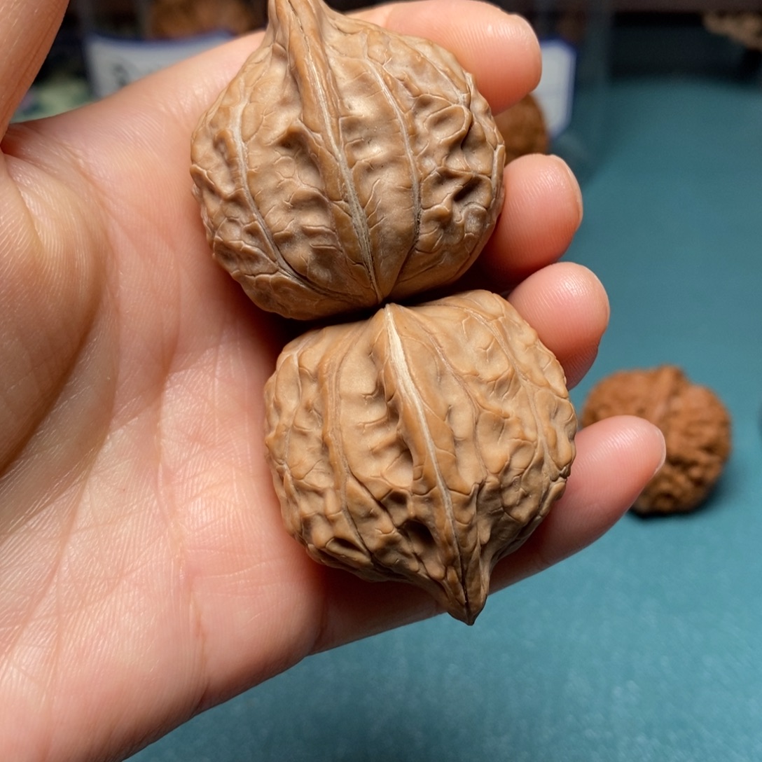 核桃37尺全品龟甲纹