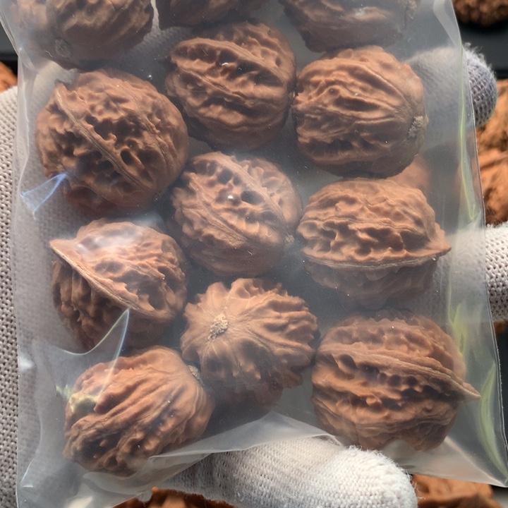 其他核桃秦岭的一座山峰是由