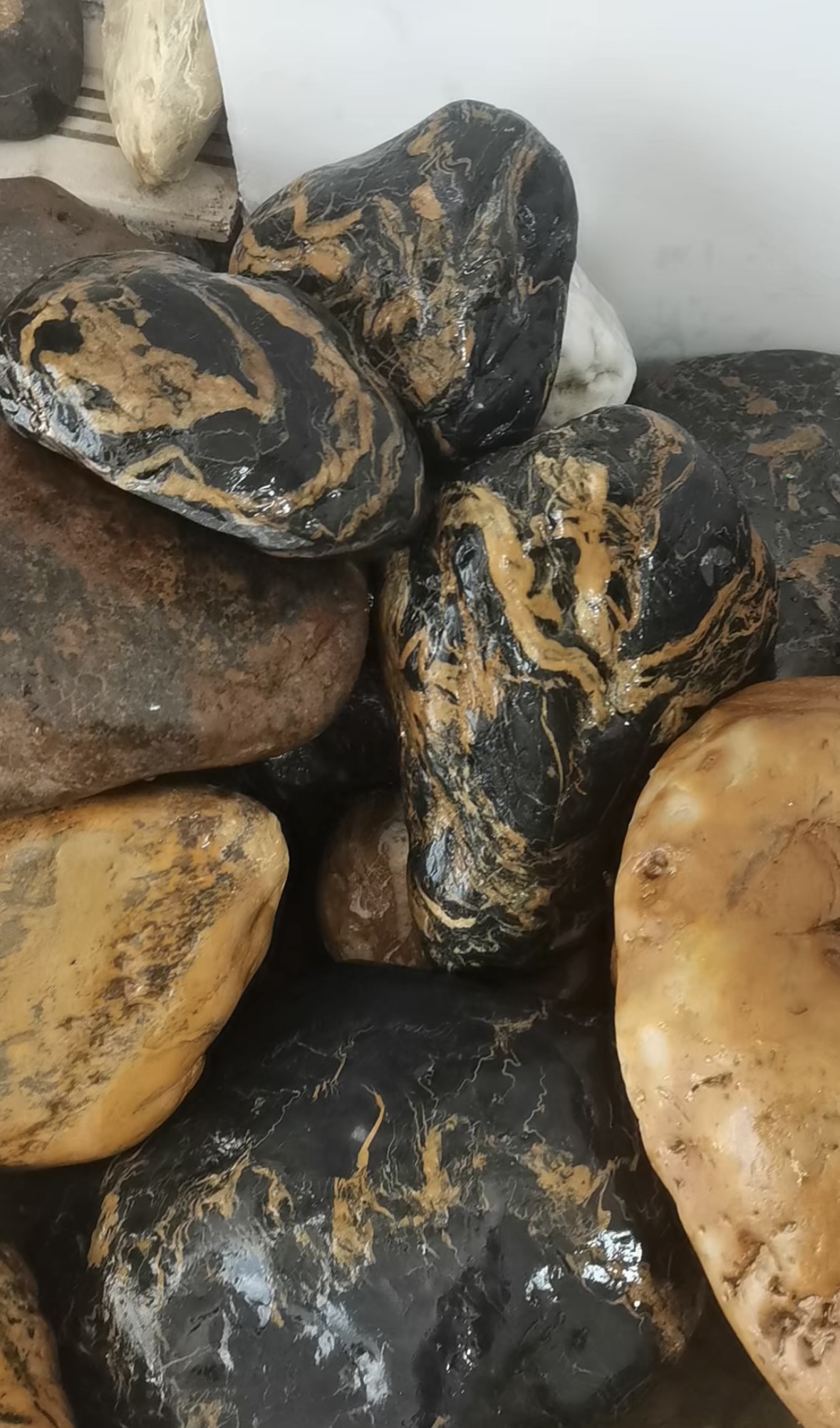 广西天然奇石观赏石画面石象形石自然一体收藏佳品