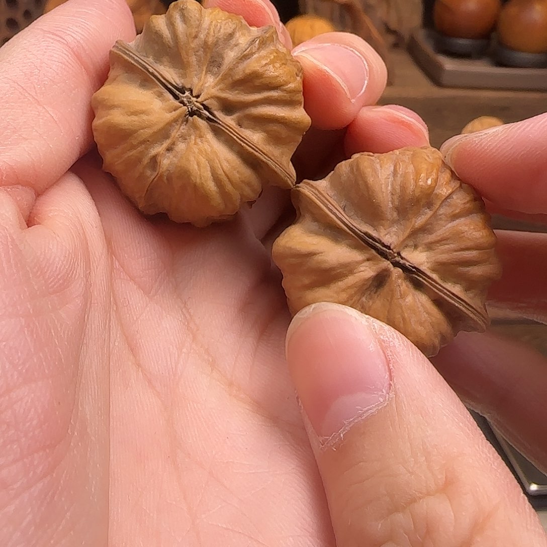 文玩核桃把件虫皇34