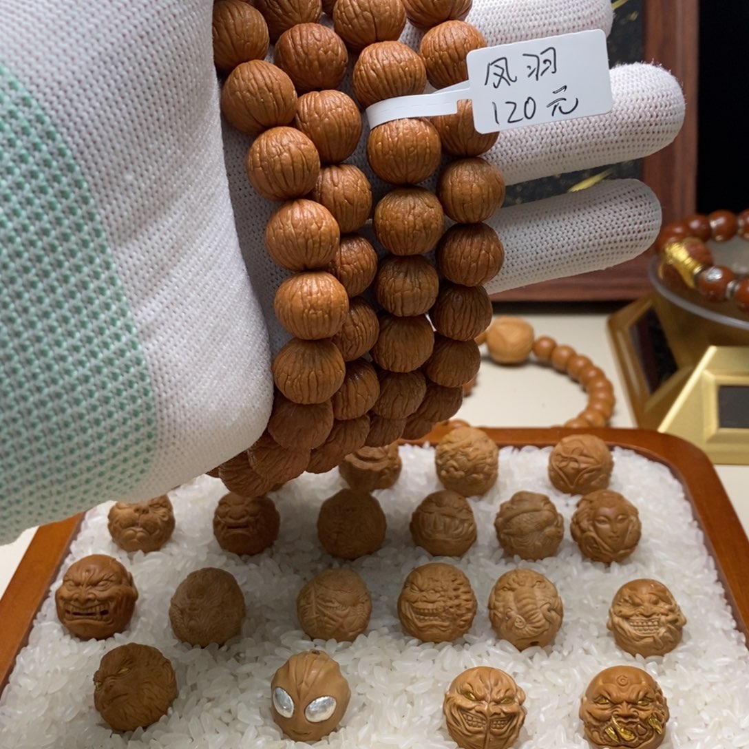 核桃猴头草的生长速度也