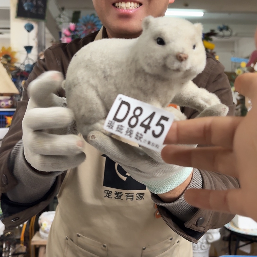 核桃木/黑胡桃（胡桃木）