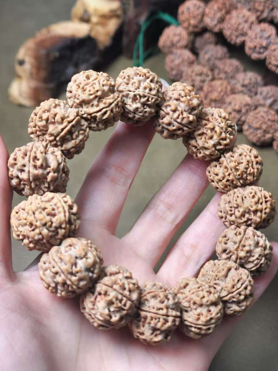 六瓣原生态大金刚菩提