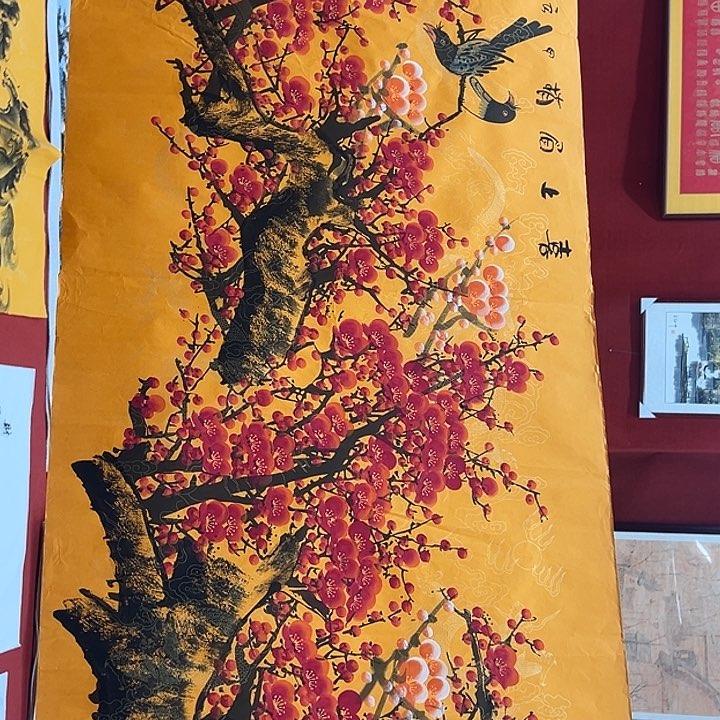 横款新号开播欣赏一下吧各位