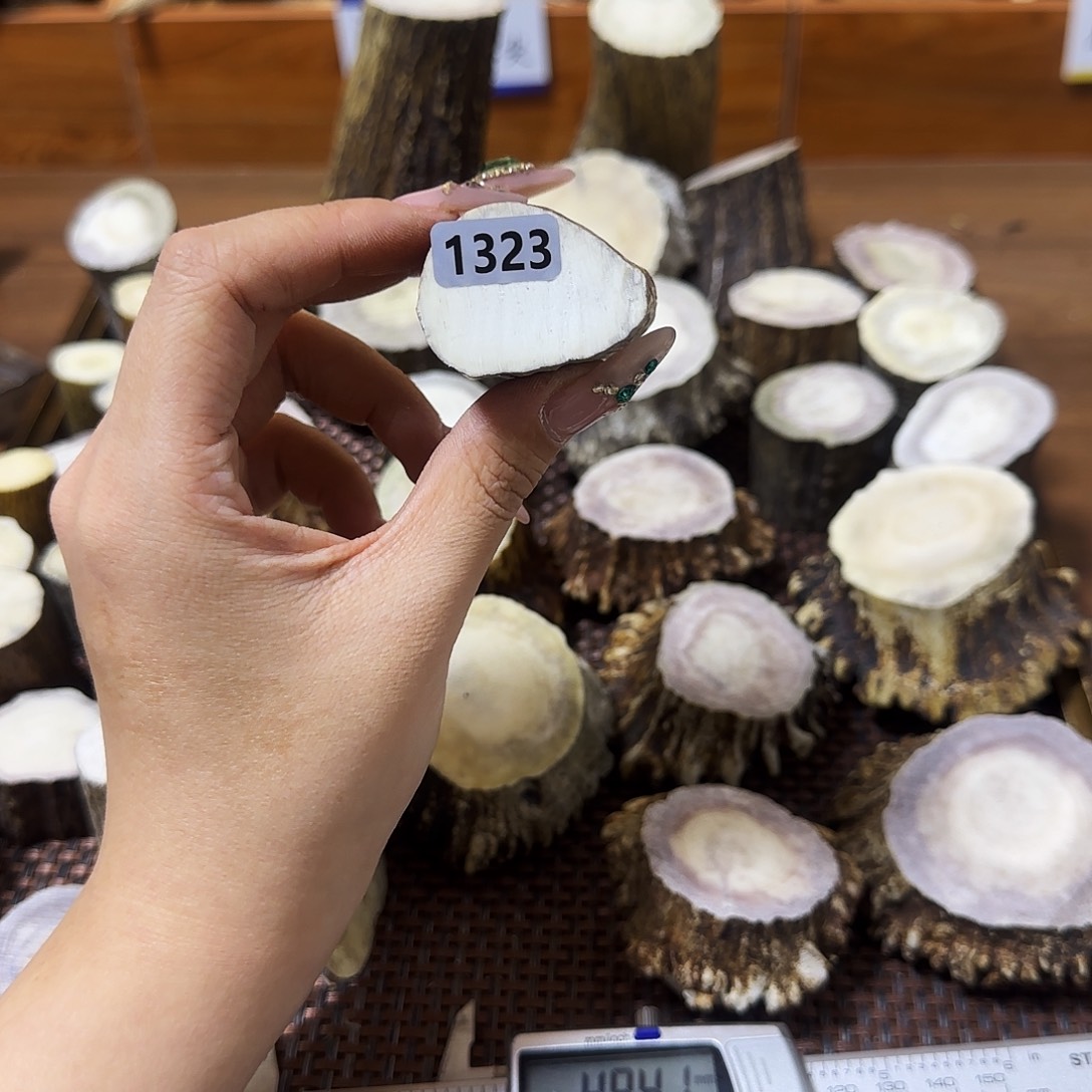 鹿骨手串/手链1323根段