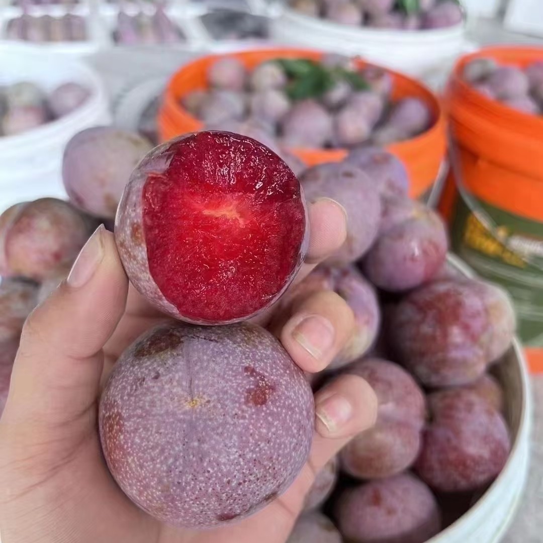 【李子】酸甜可口 到家直接食用 零农残北京市