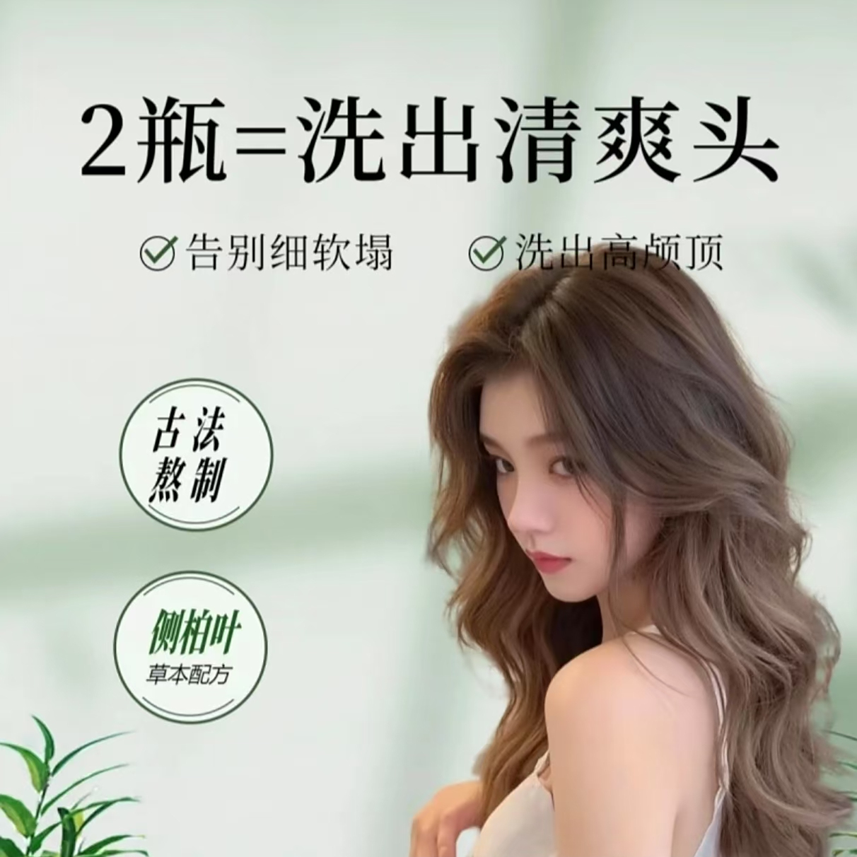 人参侧柏叶何首乌无患子茶油护发洗发水-2                     