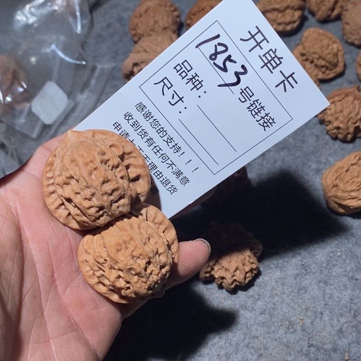 文玩核桃把件1853咯哦哦哦我哦哦