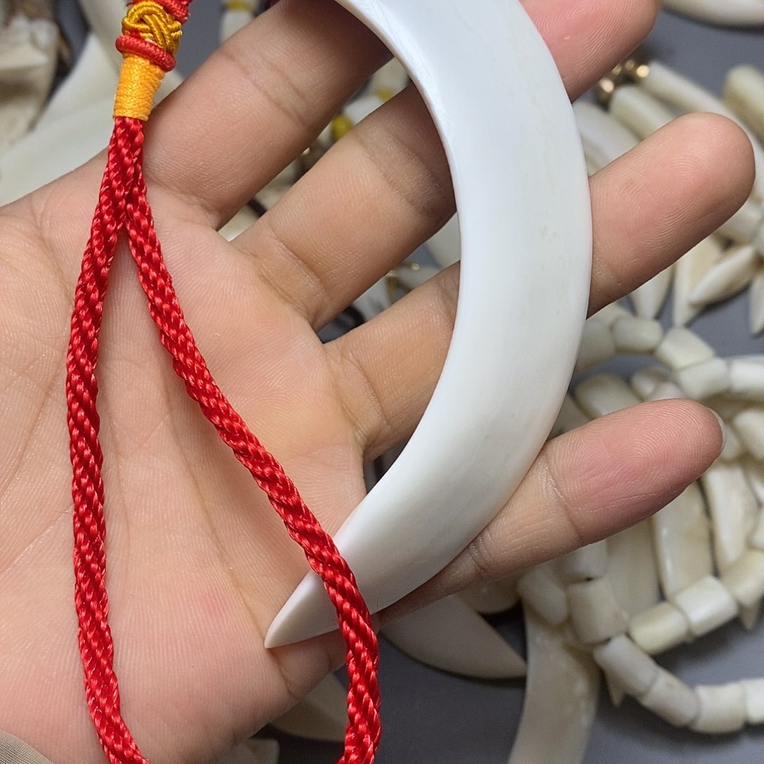 猪牙手串/手链猪大牙