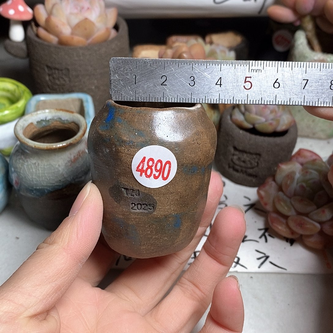 红陶拍5送一个小