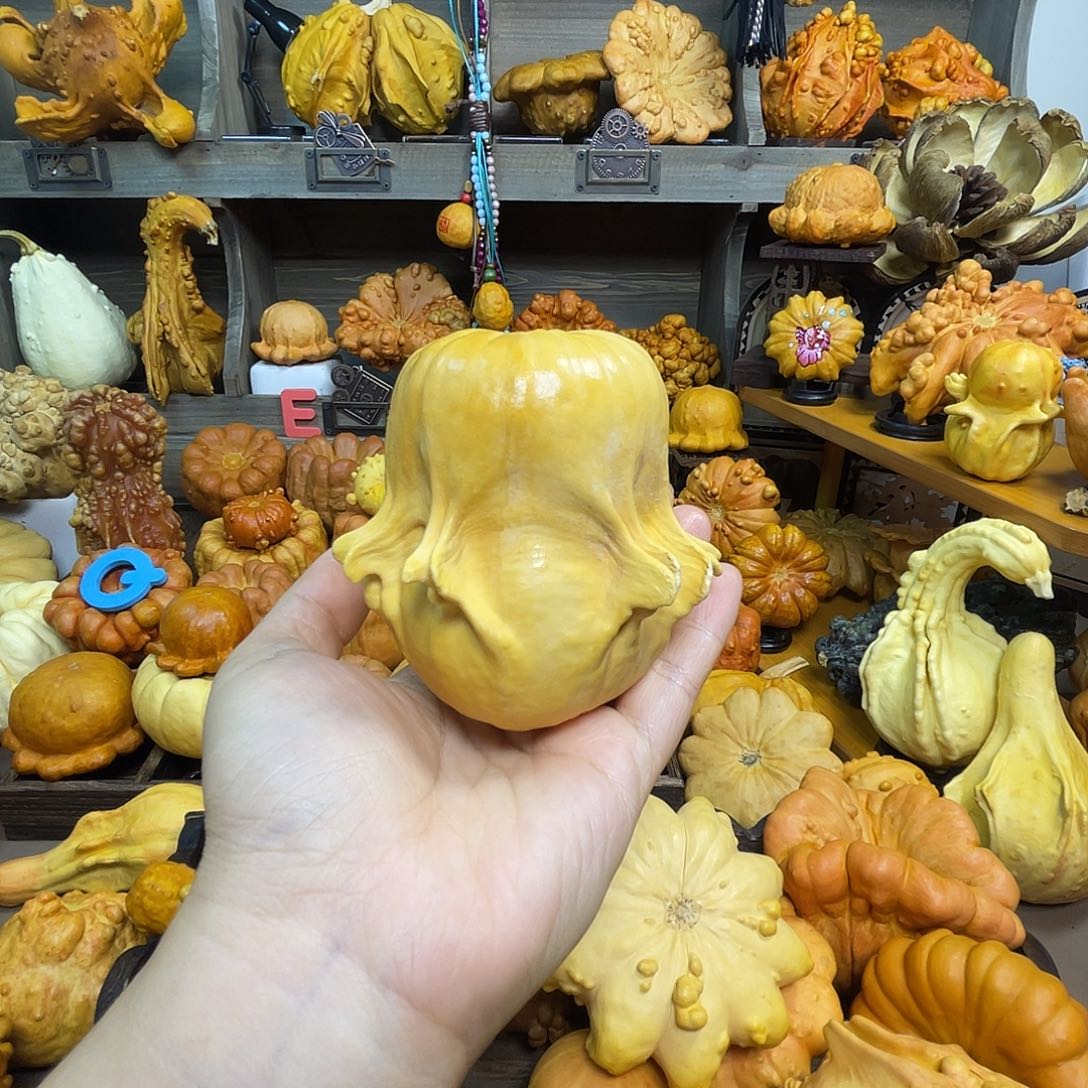 葫芦全品白菜 带筋膜