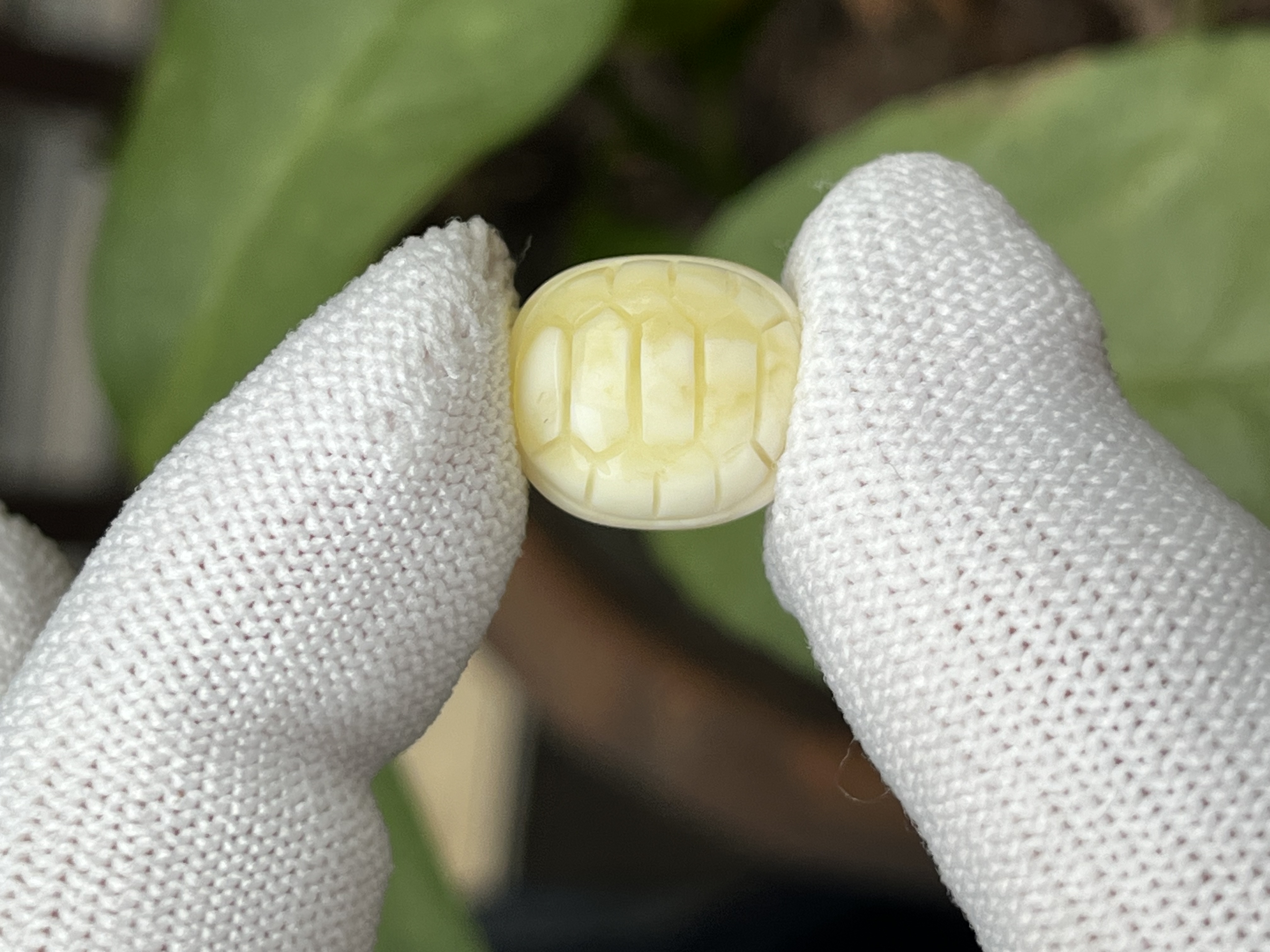 4499天然蜜蜡琥珀富甲配饰12.9x14.6x7.7mm