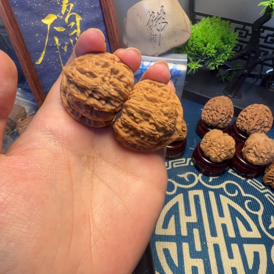 40尺全品文山两楞