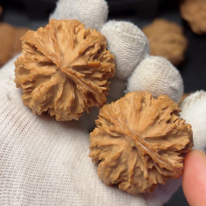 文玩核桃吊坠秦岭野生灯笼3