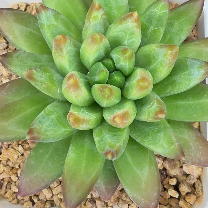 漫***光寄养11111111111111111