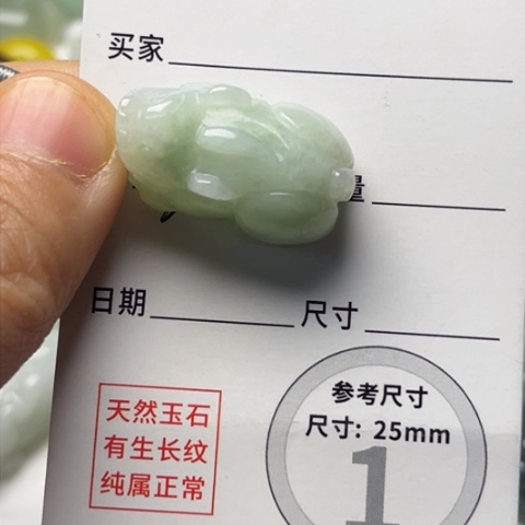 翡翠颈饰未镶嵌貔貅