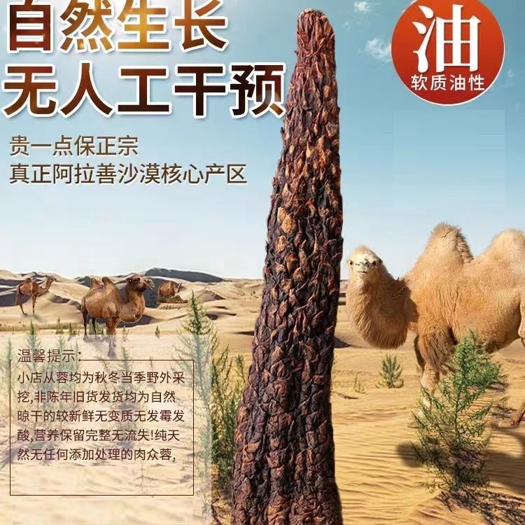 【内蒙古直发整根正品】默认发整根可切片搭配枸杞