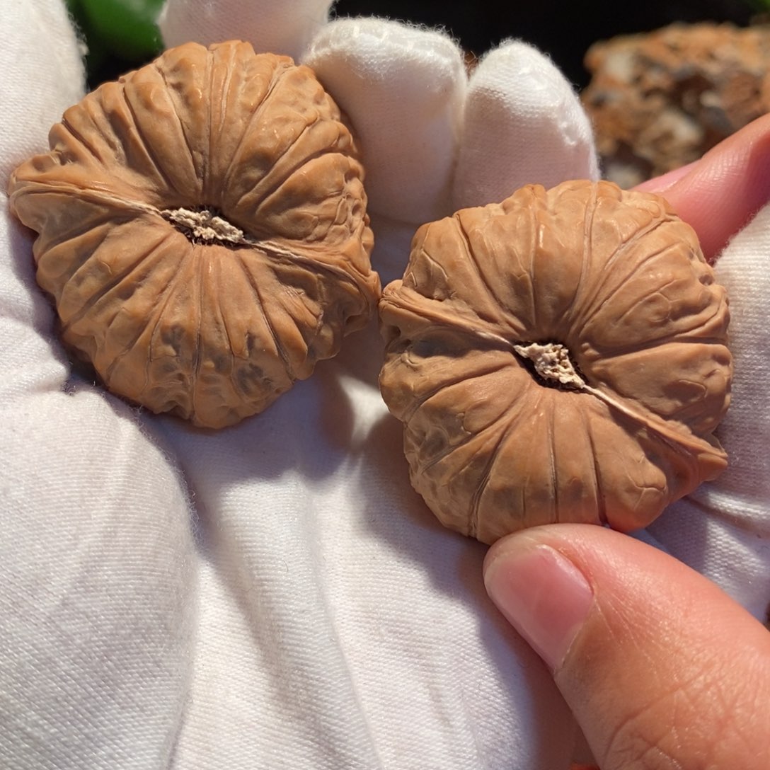 文玩核桃把件南瓜墩全品41