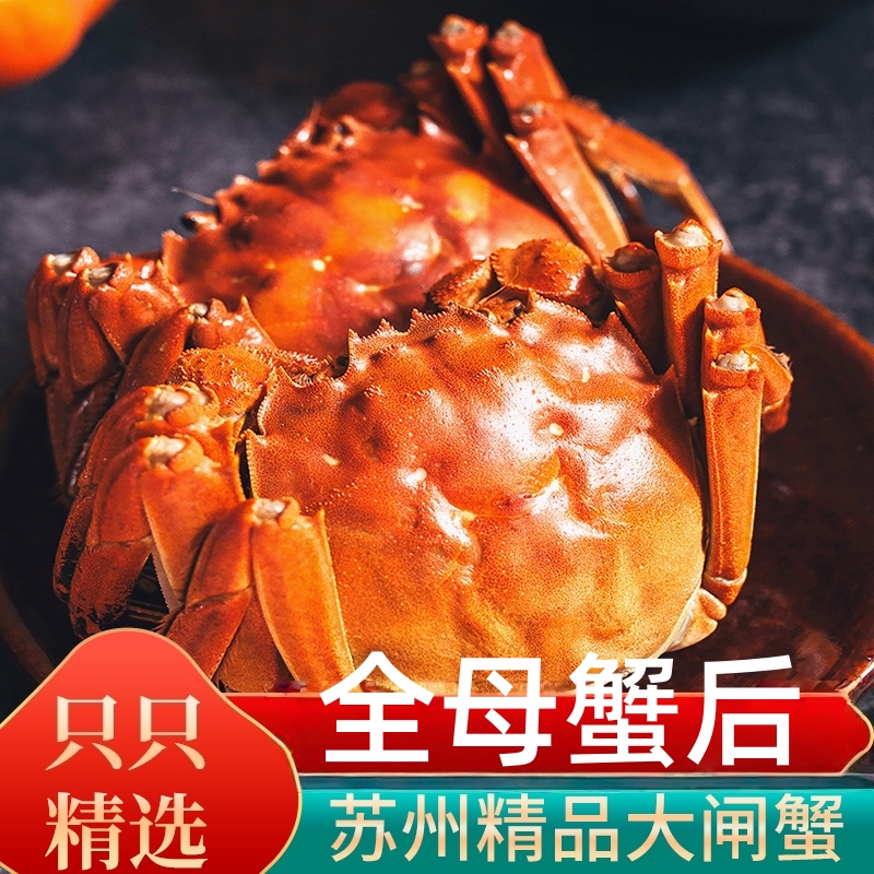 【活蟹】巨无霸 全母蟹5.5两/只  精品金标苏州大闸蟹 6/8/10/12只顺丰京东冷链送货上门海鲜