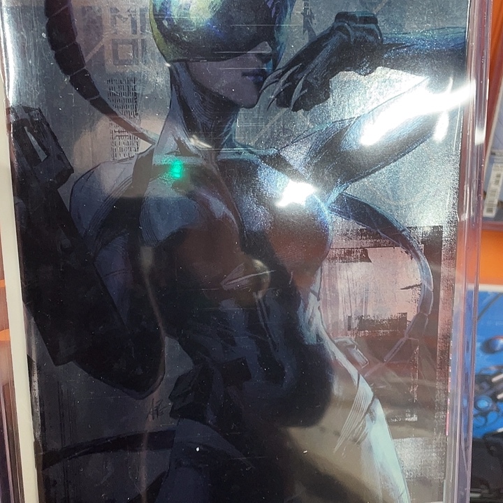 绝对蝙蝠侠第13期变体泊闪