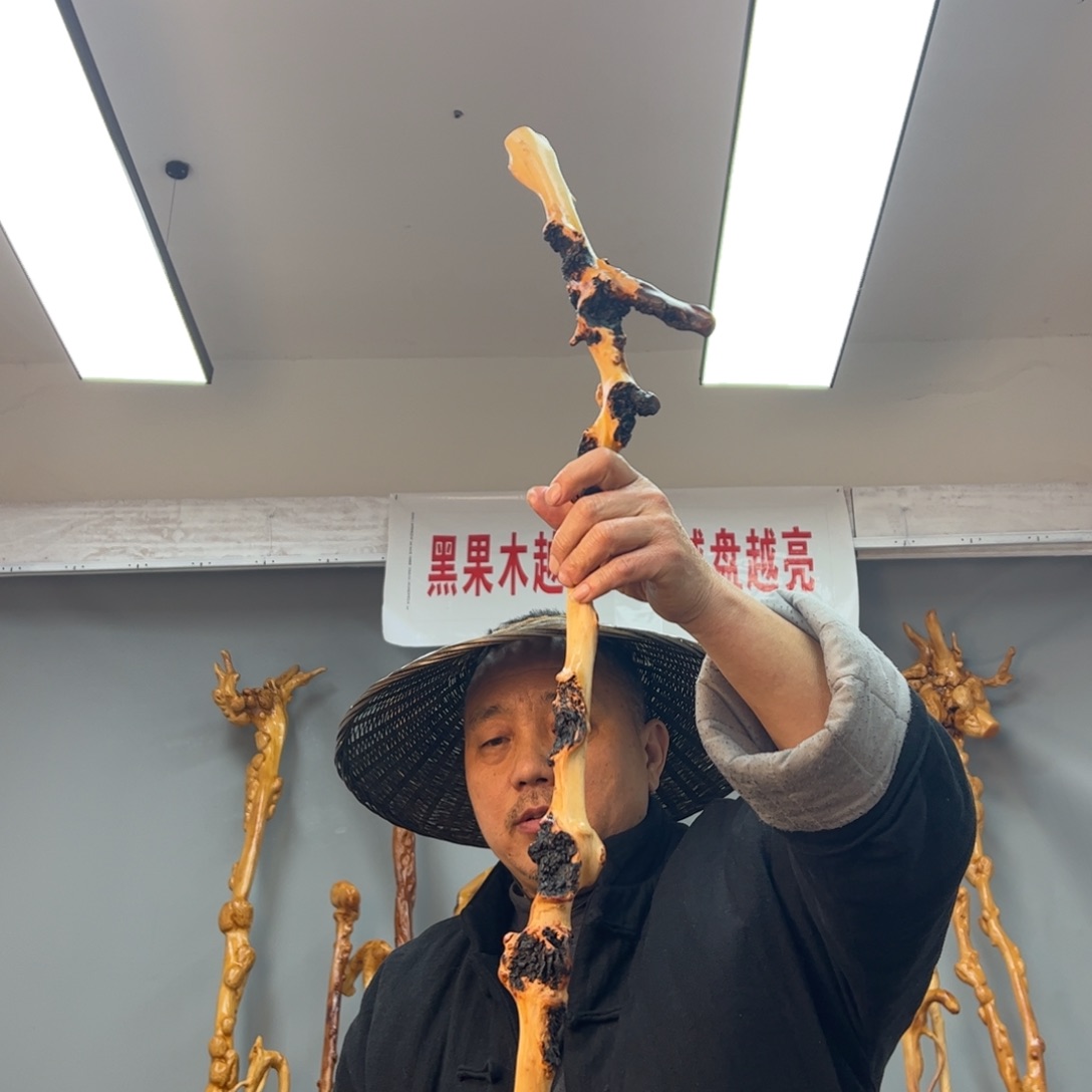 黑果木其他黑果木474