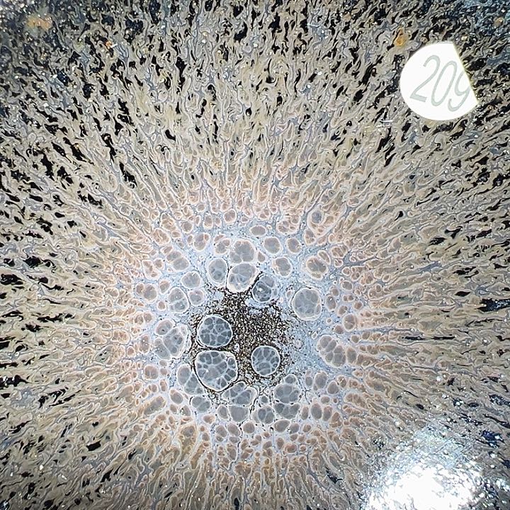 茶盏建窑建盏茶器209