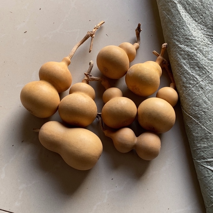 葫芦七个葫芦带一个