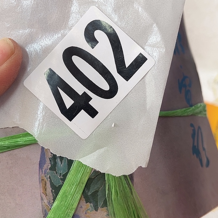 正***义9555545555665865858