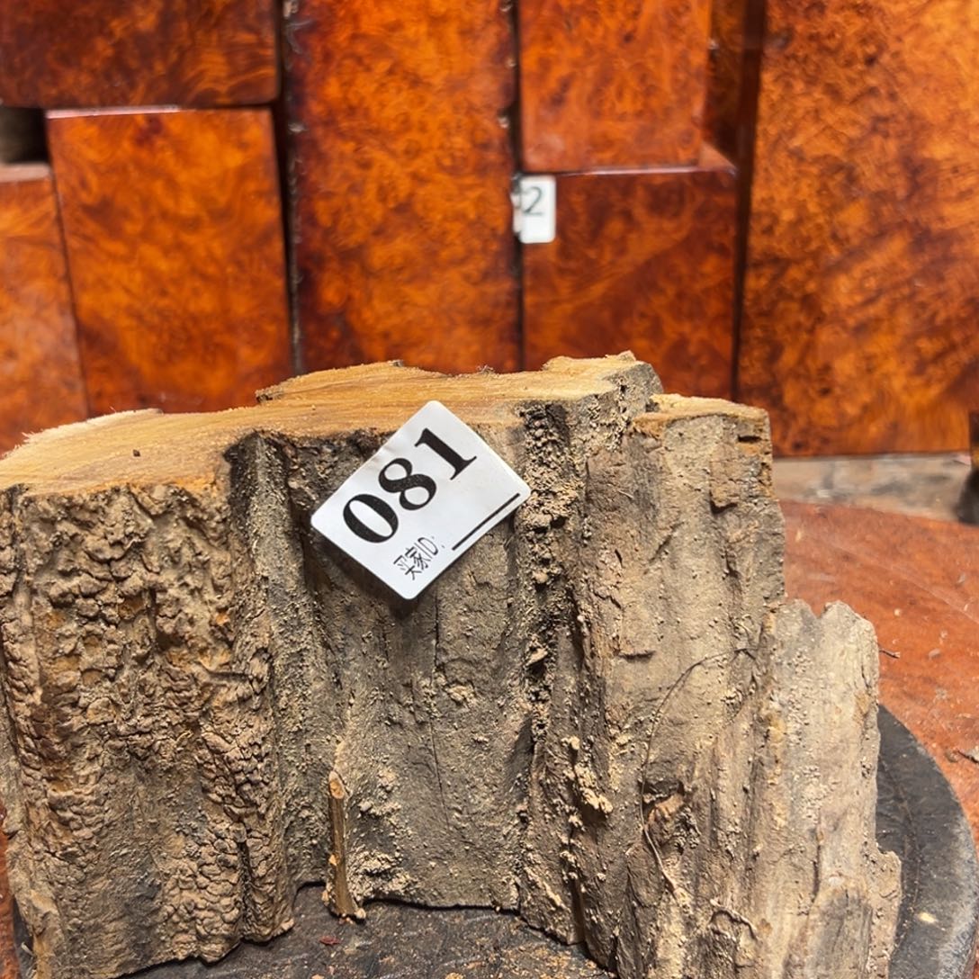 用***3大果紫檀（缅甸花梨）