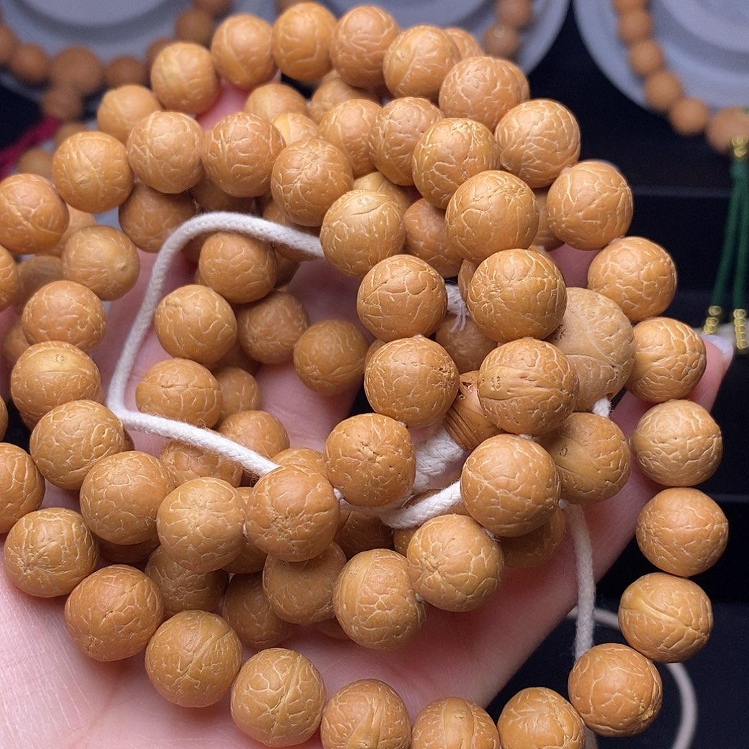 【***】12➕菩提长条110颗25新籽