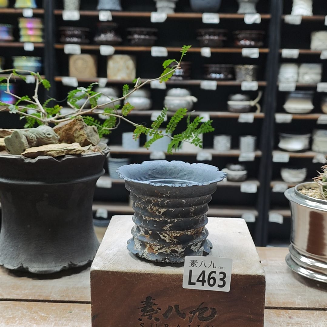 瓷素八九陶瓷内口10高7.5