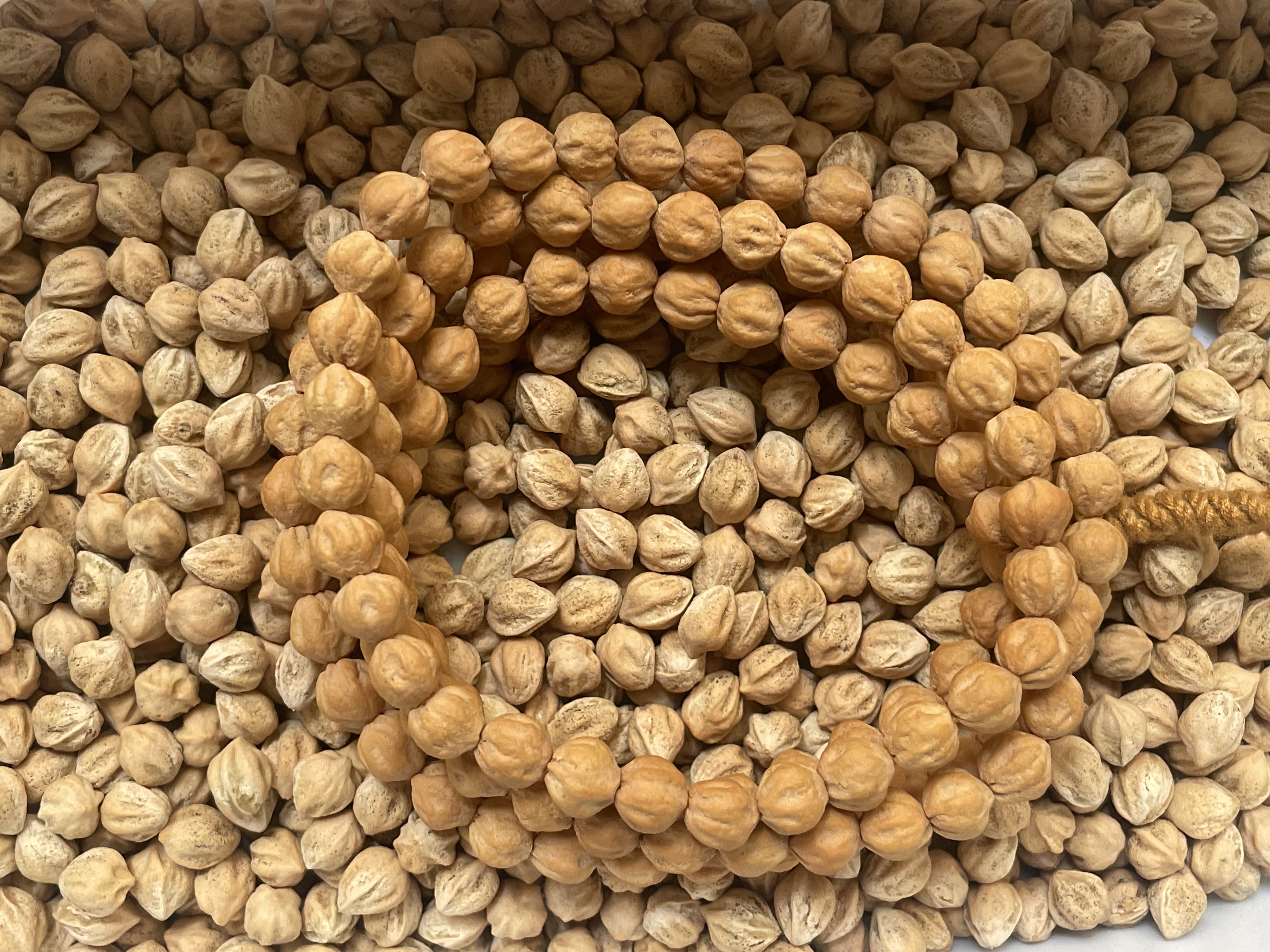 原桩粉皮球形肉莲花百香籽脖挂文玩