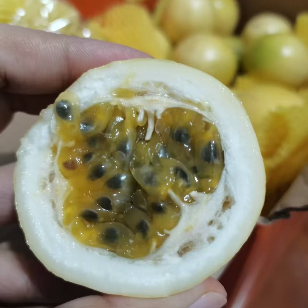 黄金百香果（1000克）