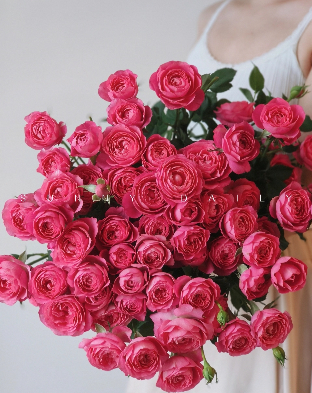 【九里花田】多头玫瑰胭脂公主-鲜花现采现发-1单发申通2单发顺丰