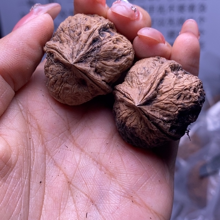 核桃云南野生铁核桃170号31mm