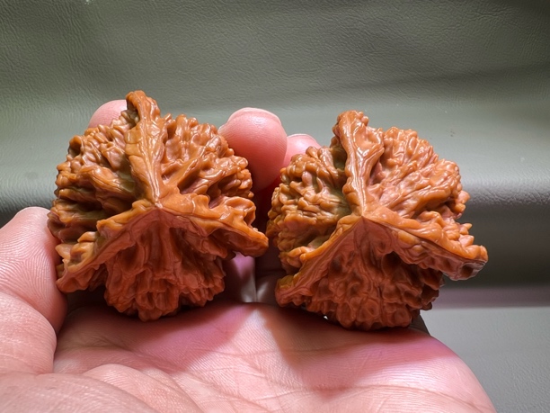 文玩核桃官帽三棱手捻正奔大奔异形精品全品48边52高65克纯天然