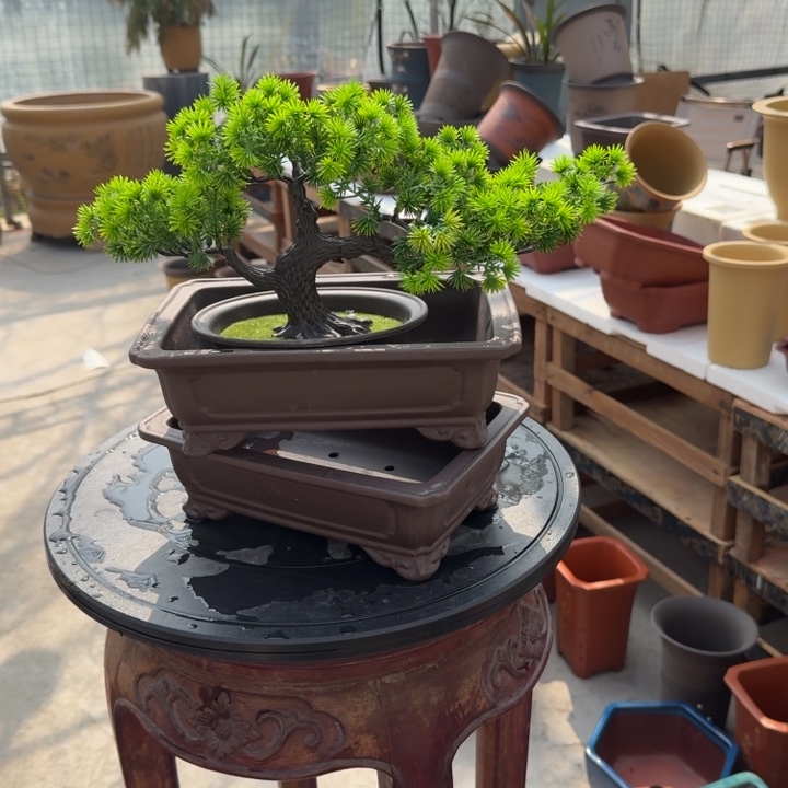 紫砂花盆紫砂花盆