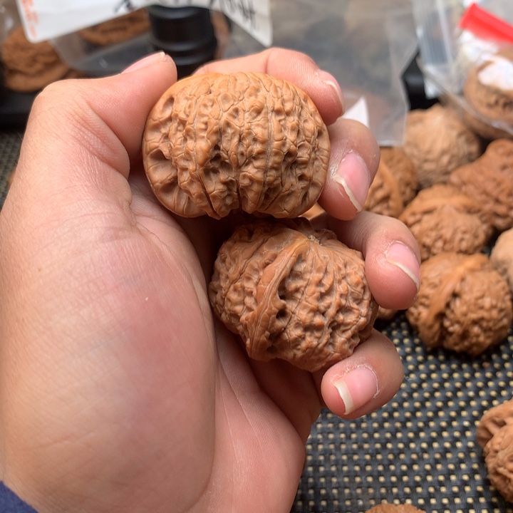 文玩核桃把件刘***好核桃