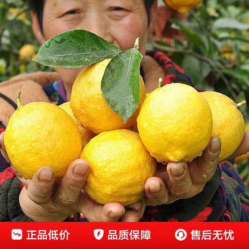 正宗香水黄柠檬奶茶店家可用香水柠檬批发大果新鲜现摘现发