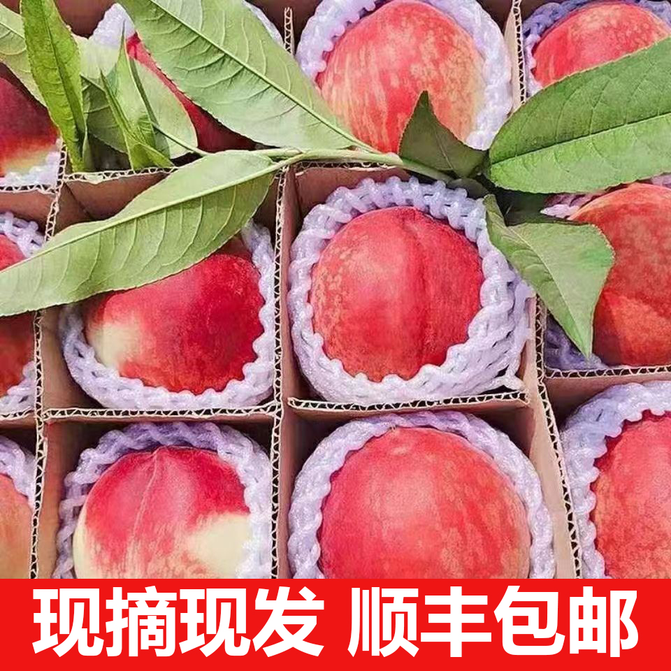 【顺丰直邮】水蜜桃新鲜水果水蜜桃脆桃应季鲜桃毛桃湖北产地直发