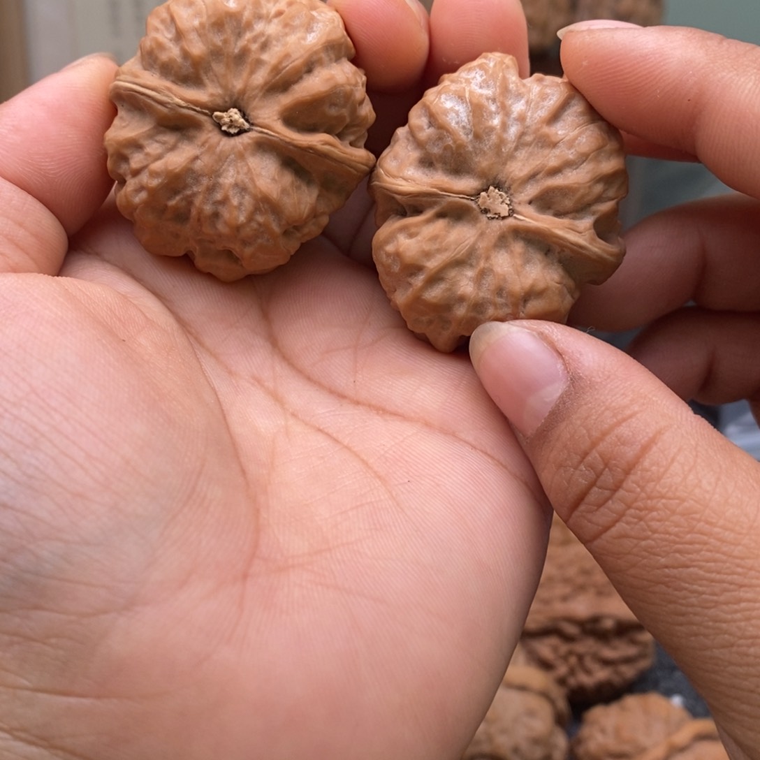 文玩核桃把件35蛤蟆头