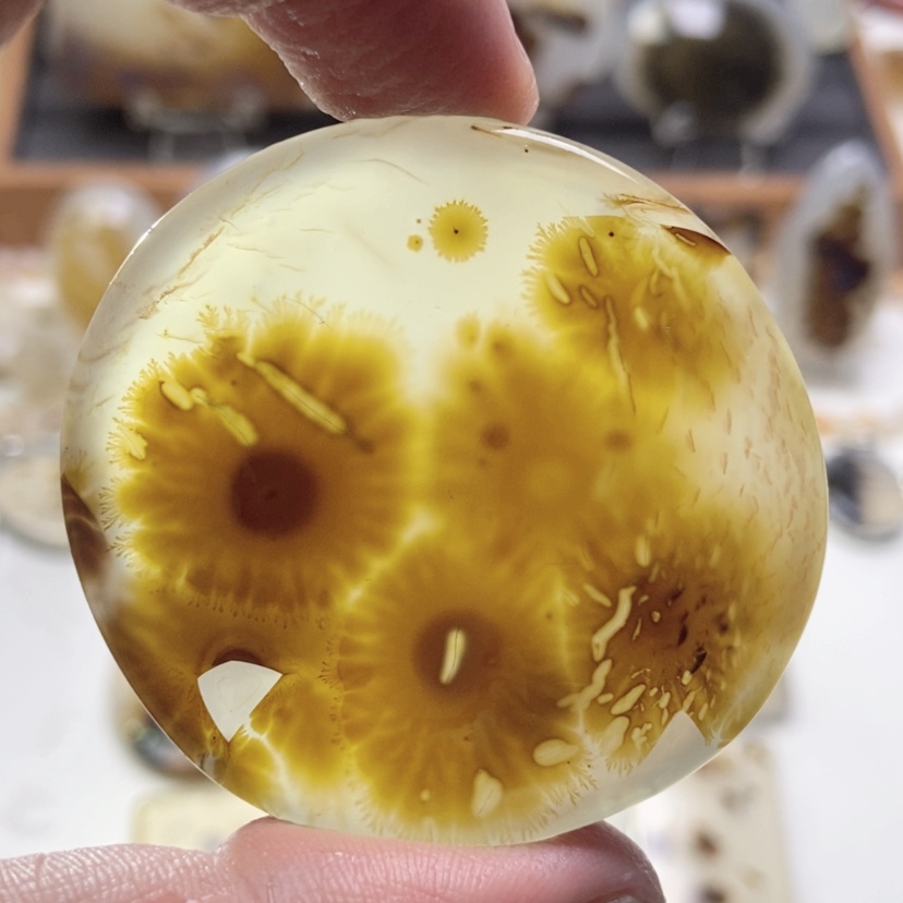 【闪购商品】玛瑙/玉髓颈饰未镶嵌