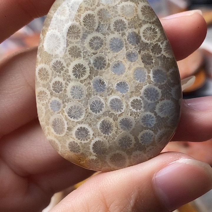 金***n硅化玉未镶嵌颈饰