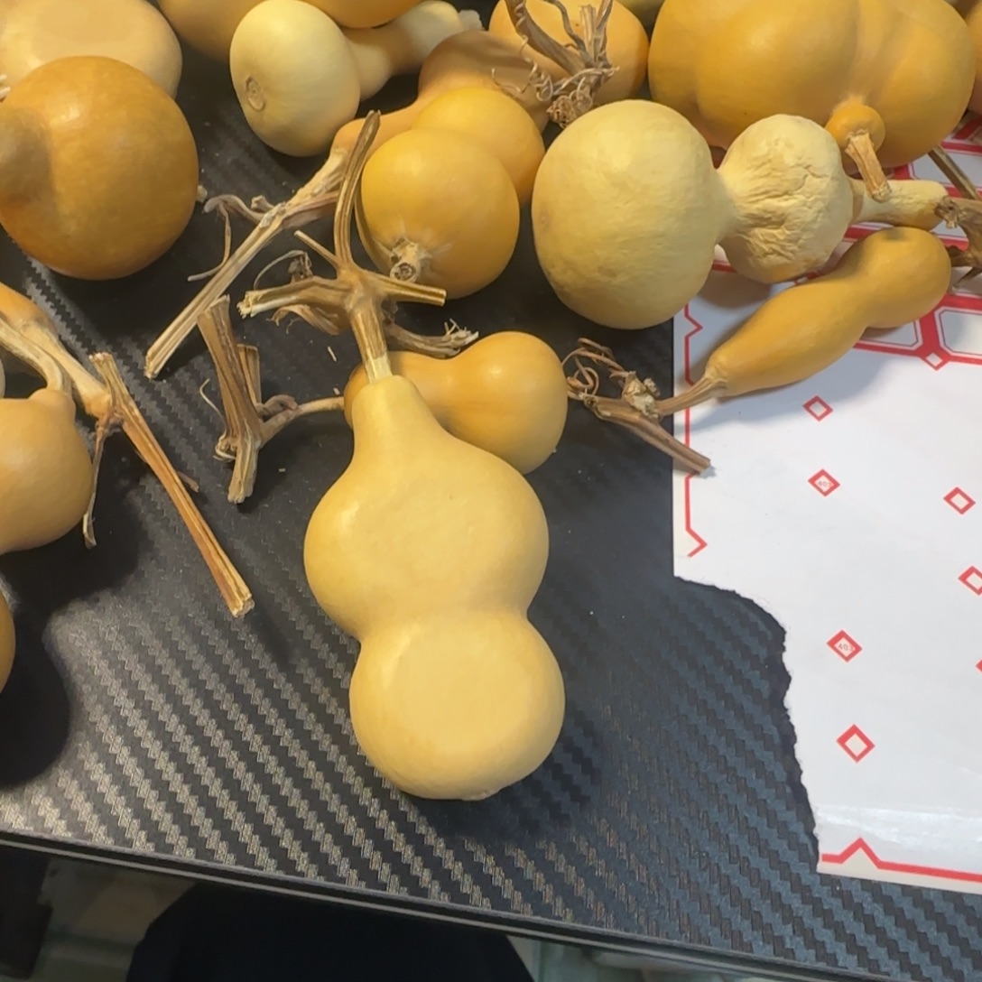 两***子有机玻璃葫芦葫芦葫芦葫芦