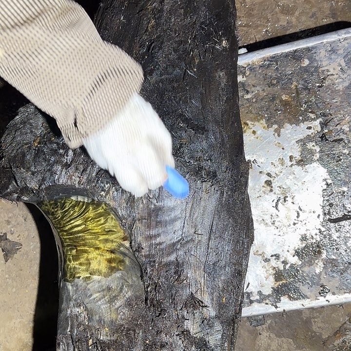 顺***店金丝楠金丝楠阴沉木