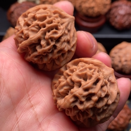 文玩核桃把件秦岭文玩核秦闷